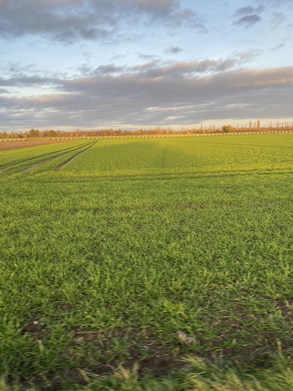 Gertrud-Bäumer-Straße, Troisdorf nach Gertrud-Bäumer-Straße, Troisdorf