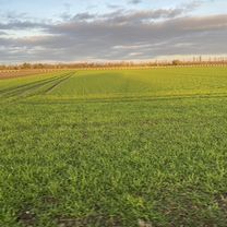 Gertrud-Bäumer-Straße, Troisdorf nach Gertrud-Bäumer-Straße, Troisdorf