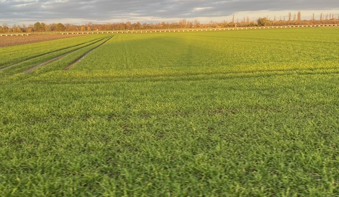 Foto 1 de la ruta de Bikemap "Gertrud-Bäumer-Straße, Troisdorf nach Gertrud-Bäumer-Straße, Troisdorf"