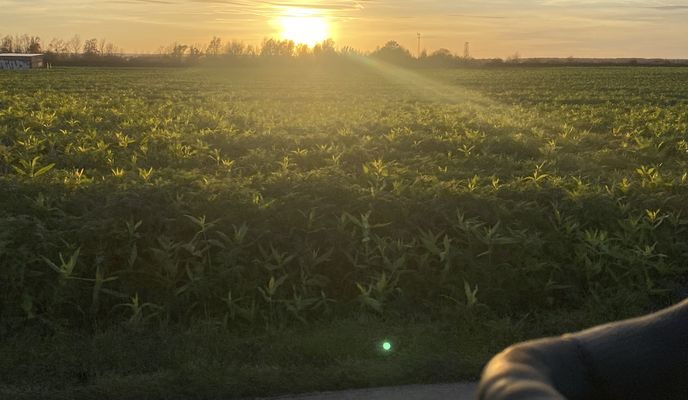Foto 2 de la ruta de Bikemap "Gertrud-Bäumer-Straße, Troisdorf nach Gertrud-Bäumer-Straße, Troisdorf"