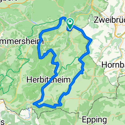 RT 49km Bliestal-Runde