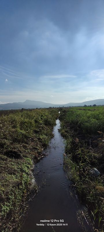 3595. Sokak 67/1 to 3624. Sokak 5C