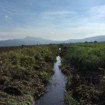 3595. Sokak 67/1 to 3624. Sokak 5C