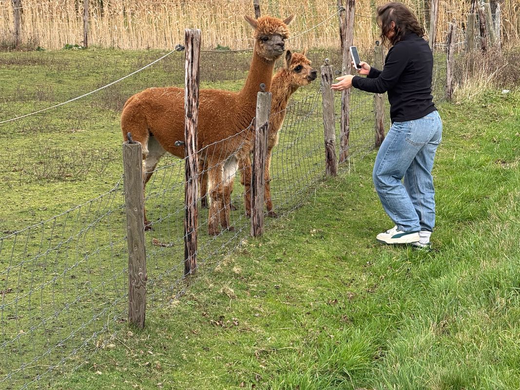 Grensweg, Den Burg nach Grensweg, Den Burg