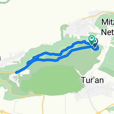 מהמגדל לבית רימון