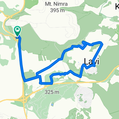 מחלף נטפים ללביא