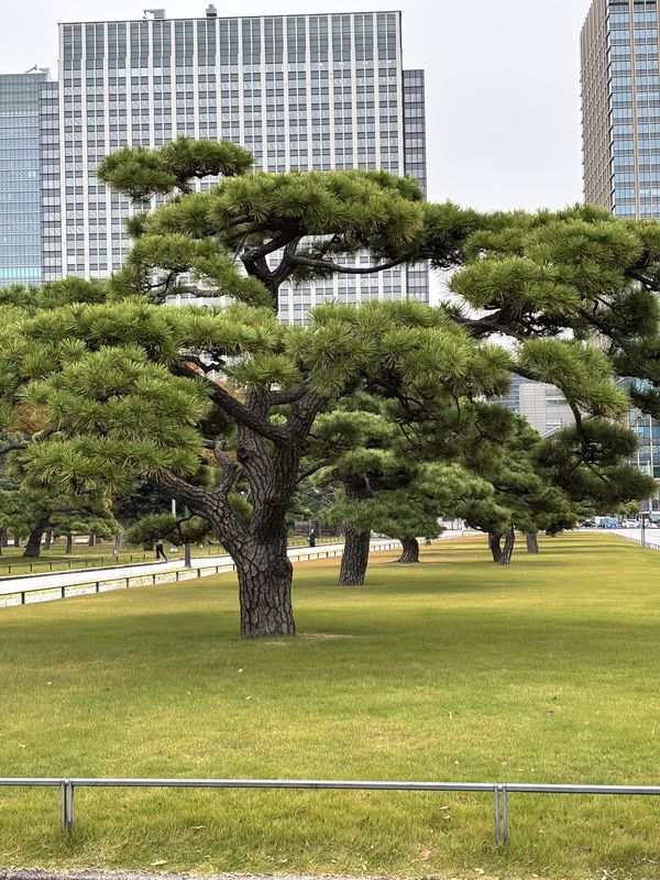 赤塚新町3丁目, 板橋区へ都道405号, 港区