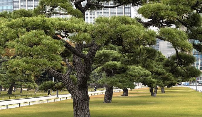 Foto 2 der Bikemap-Route "赤塚新町3丁目, 板橋区へ都道405号, 港区"