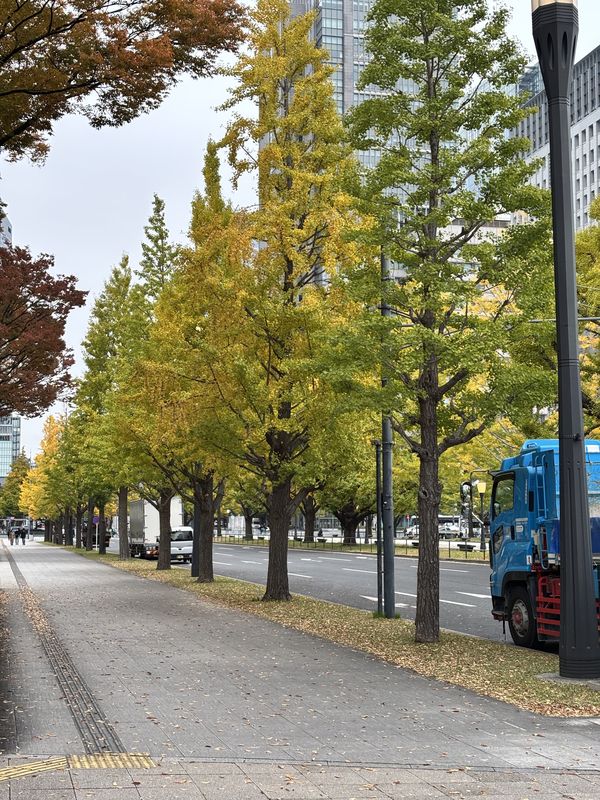 赤塚新町3丁目, 板橋区へ都道405号, 港区
