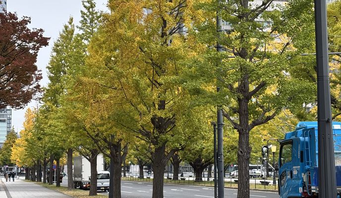 Foto 1 der Bikemap-Route "赤塚新町3丁目, 板橋区へ都道405号, 港区"