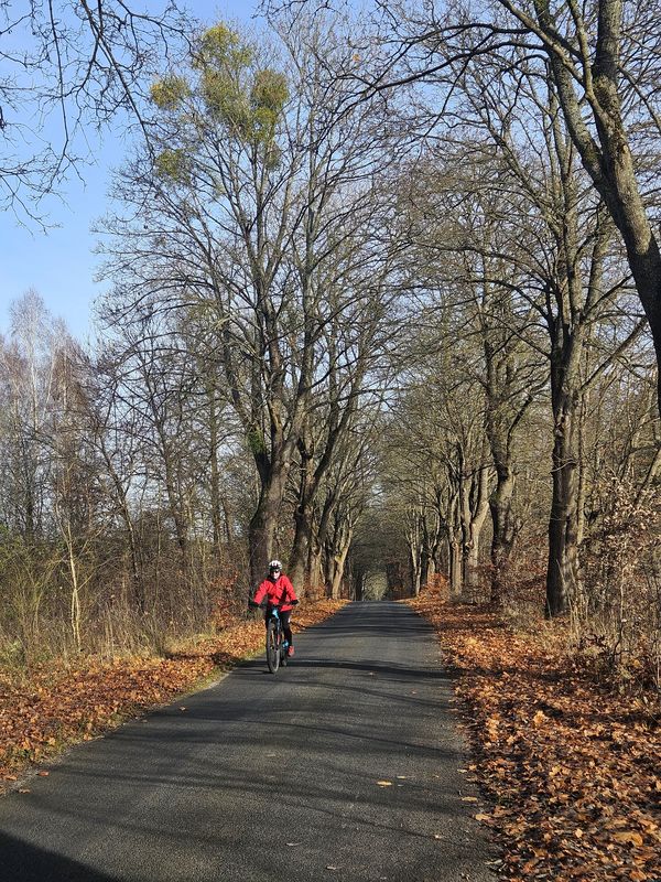 Tarnowo do Skrzatusz