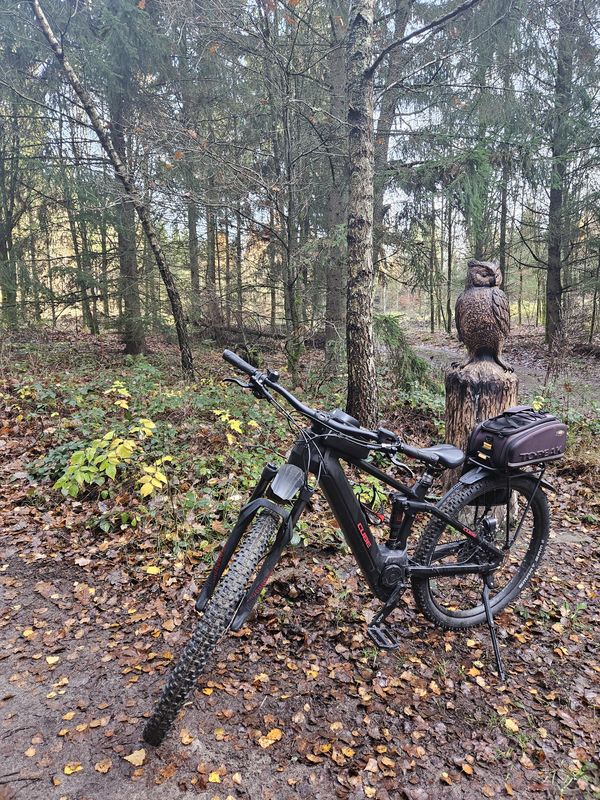 Skrzatusz do Marcina Kowalkowskiego