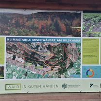 Eichenstraße nach Eichenstraße