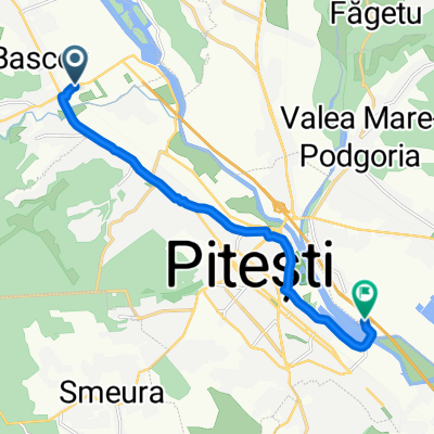 Strada Serelor, Bascov to Autostrada București-Pitești, Ștefănești