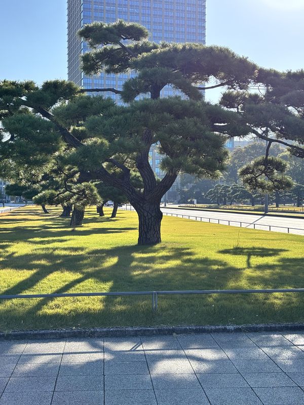 赤塚新町3丁目, 板橋区へ西新橋1丁目, 港区