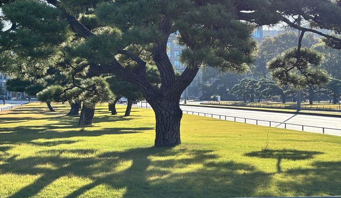 Foto 2 der Bikemap-Route "赤塚新町3丁目, 板橋区へ西新橋1丁目, 港区"