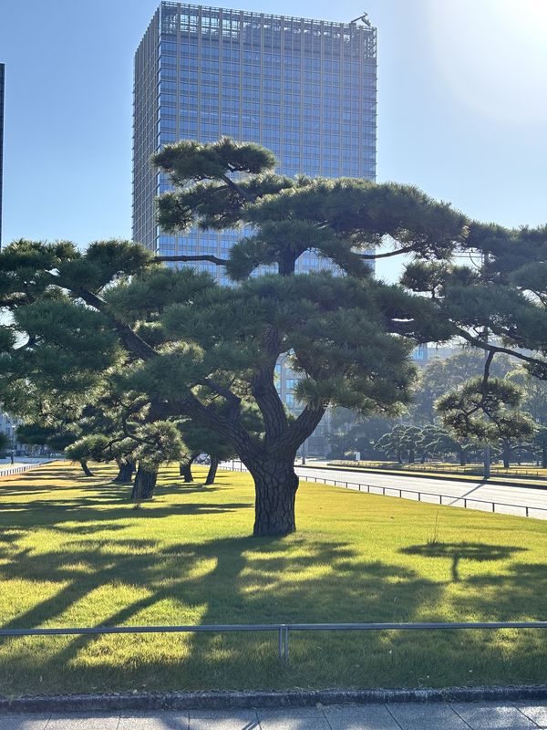 赤塚新町3丁目, 板橋区へ西新橋1丁目, 港区