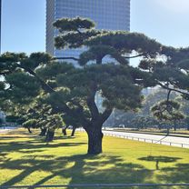 赤塚新町3丁目, 板橋区へ西新橋1丁目, 港区