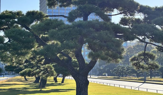 Foto 1 der Bikemap-Route "赤塚新町3丁目, 板橋区へ西新橋1丁目, 港区"