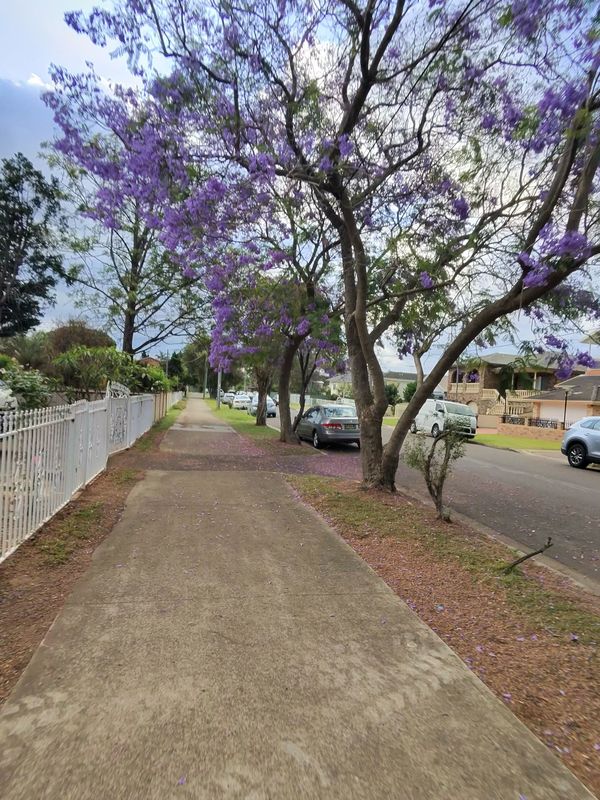 Magney Ave, Regents Park to Mars Pl, Lansvale