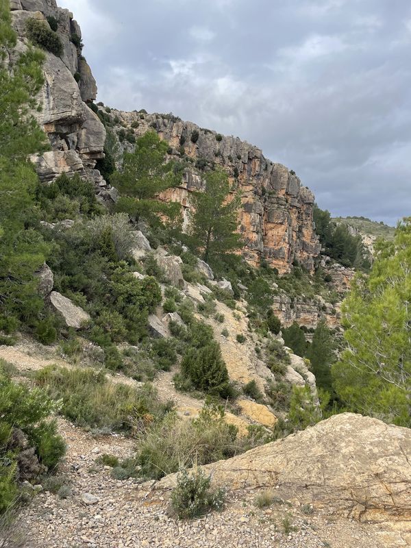 Avenida Valencia, Jérica a Calle del Rey Don Jaime, Jérica