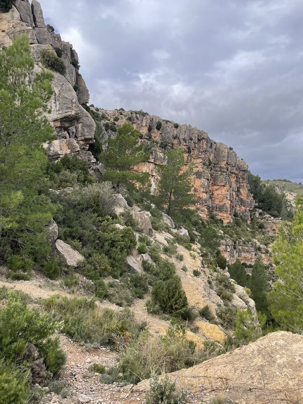 Avenida Valencia, Jérica a Calle del Rey Don Jaime, Jérica