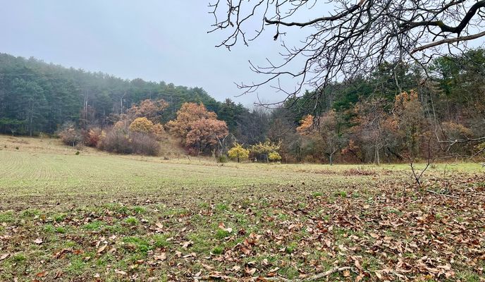 Photo 2 de l’itinéraire Bikemap « Rec Deep into the fog 🌫️ »