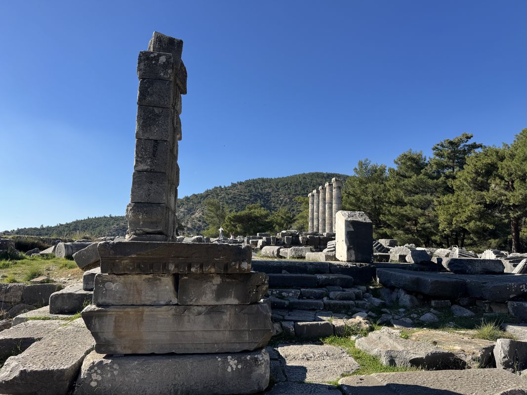 Doltenalti Cd., Selcuk до Tavsan Burnu Milli Parki, Didim