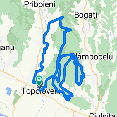 Topoloveni