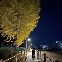 상동5길, 거제시에서 상동동, 거제시까지