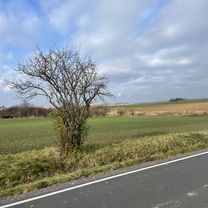 Poběžovice u Holic, Poběžovice u Holic do Silnice 3057, Holice