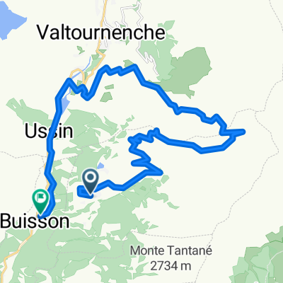 Chamois-Cheneil