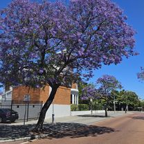 Hillaries, City, Mitchel Fwy Ride