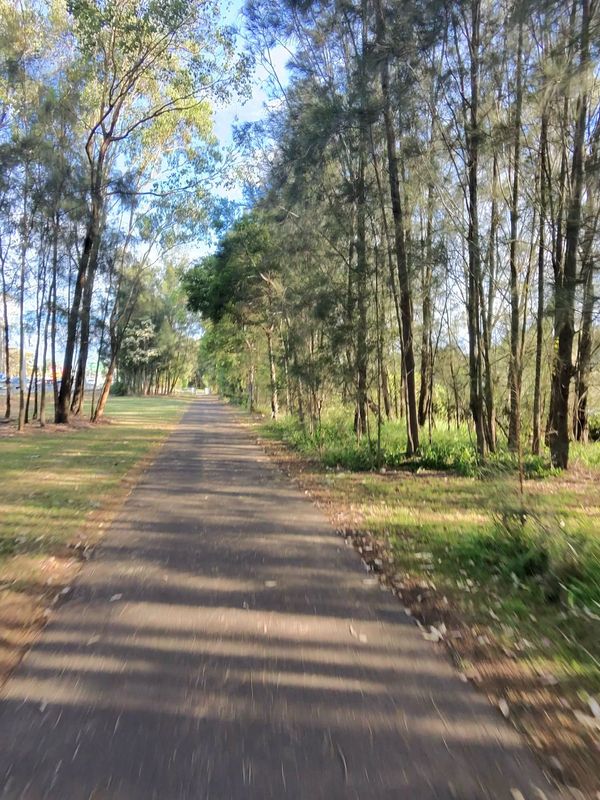 Magney Ave, Regents Park to Henry Lawson Dr, East Hills