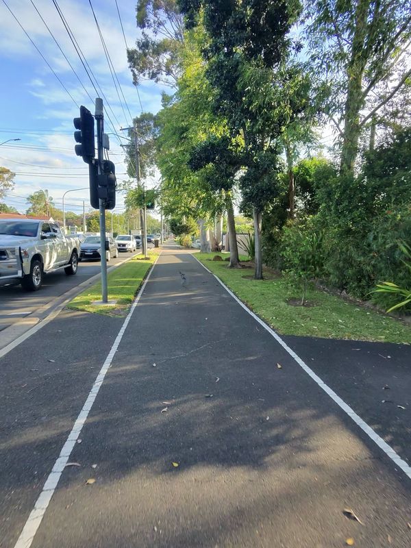 Magney Ave, Regents Park to Henry Lawson Dr, East Hills