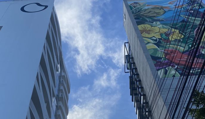 Photo 2 of the Bikemap route "Avenida 51, San José a Calle 44, San José"