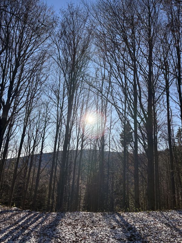 Bacúch, Bacúch až Hrádza, Bacúch