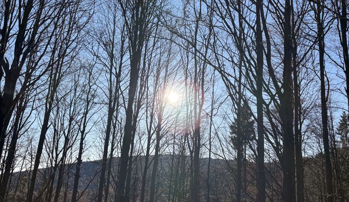 Zdjęcie 2 trasy Bikemap „Bacúch, Bacúch až Hrádza, Bacúch”