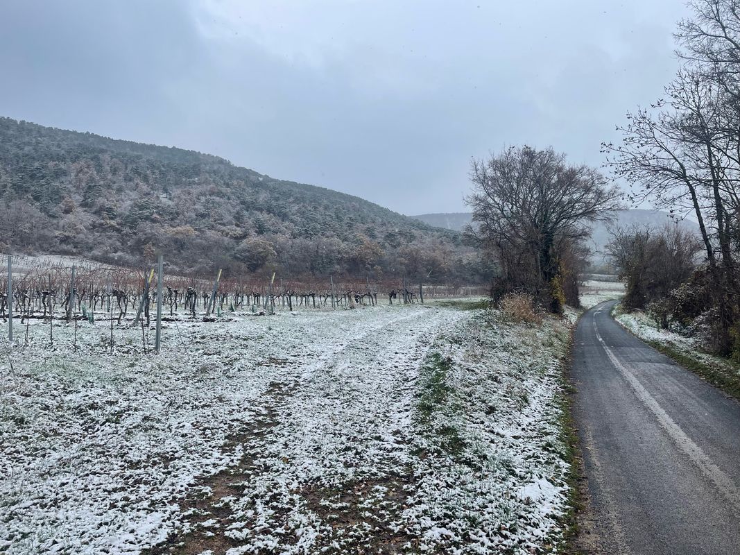 Rec First snow ❄︎ of the year