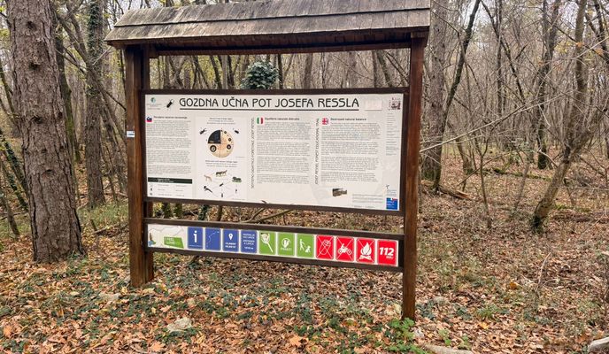 Zdjęcie 1 trasy Bikemap „Divača-Škocjanske jame-Kokoška-Lipica-Povir-pod Vremščico do Divače”