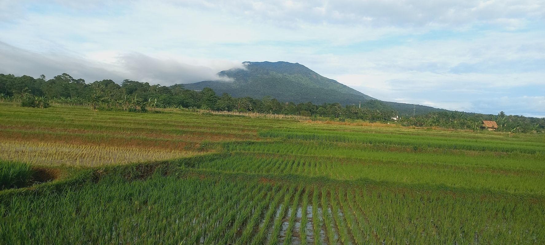 Route from Jalan Rego