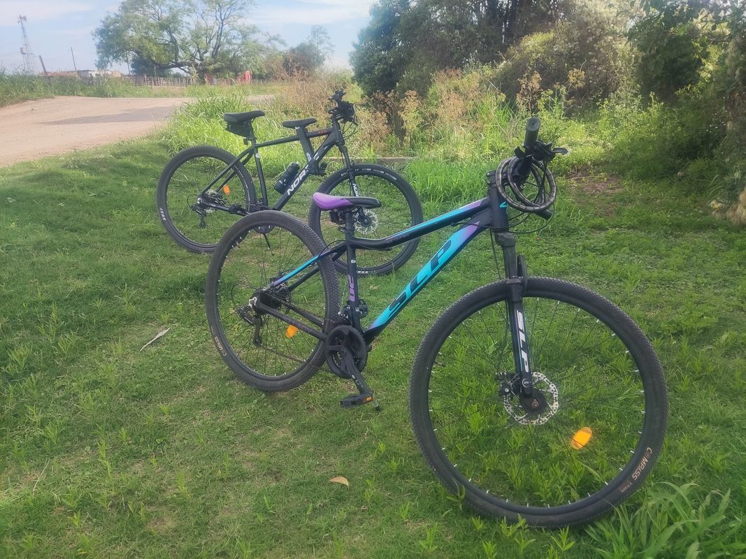 De Lehmann a Lehmann