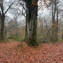 Montigny-Sur-Loing/Recloses