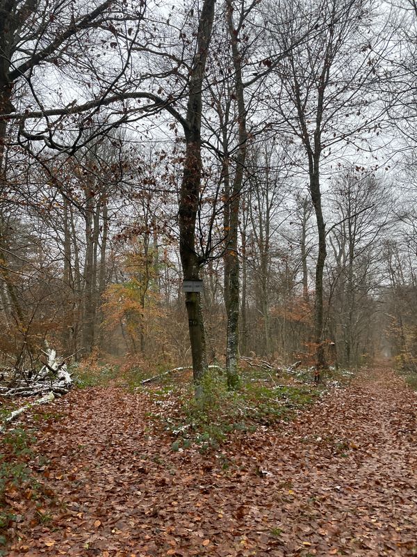 Montigny-Sur-Loing/Recloses