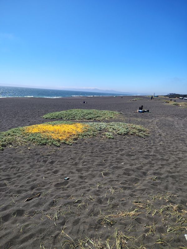 Ruta desde Calle Central