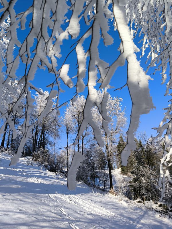 ParadiĹľ - KoÄŤa na Mrzl'ku