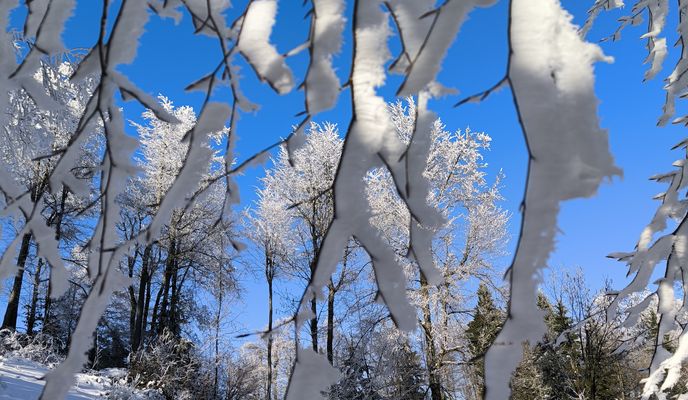 Foto 2 de la ruta de Bikemap "Paradiž - Koča na Mrzl'ku"