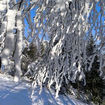 Paradiž - Koča na Mrzl'ku