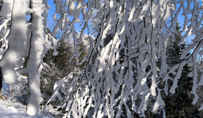 Foto 1 de la ruta de Bikemap "Paradiž - Koča na Mrzl'ku"