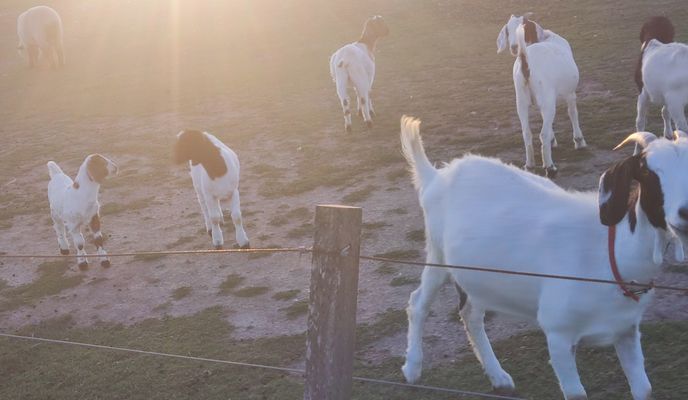 Photo 2 de l’itinéraire Bikemap « De Julio Migno a Lehmann »